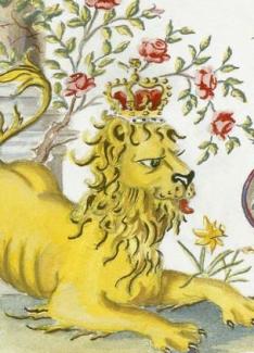 Lion detail, Prince Charles's Invitation
