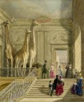 Scharf Visitors at Montagu House, British&nbsp;Museum