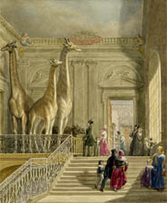 Visitors at Montagu House, British Museum, George Scharf