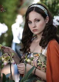 synopsis_askevans_01