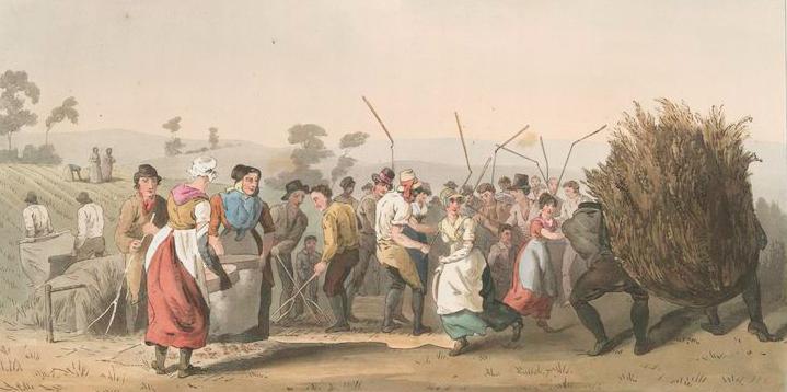 Detail, Rape Threshing, 1813, The Costume of Yorkshire, New York Public Library
