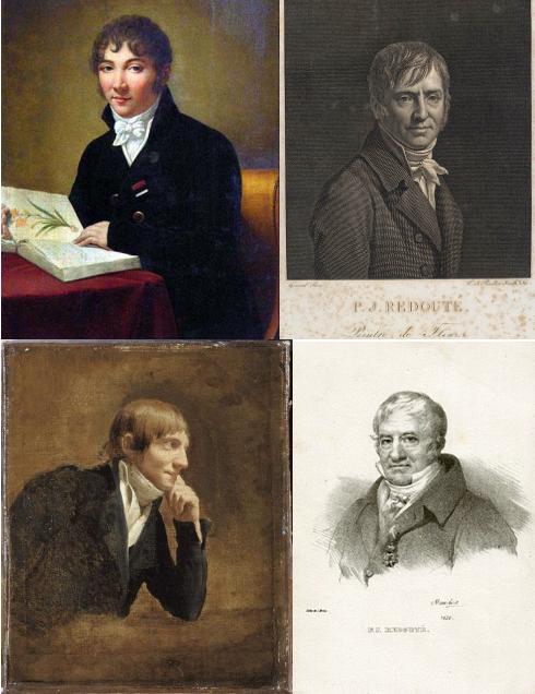 4 faces of PJ Redoute