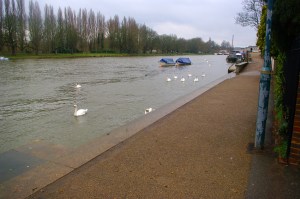 Cesar Picton's coal wharf site