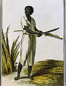 slave cutting sugar cane_antigua_1799_bibliothequedesartsdecoratifs_paris
