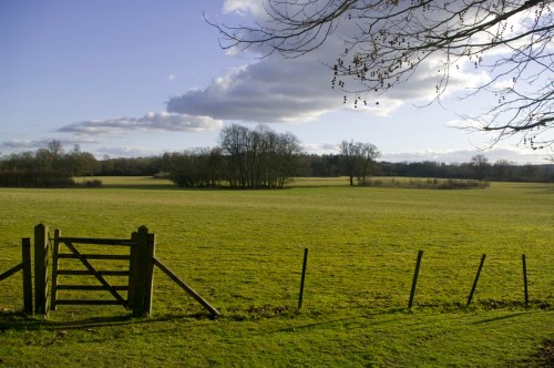 Chawton House view from one of the gravel paths