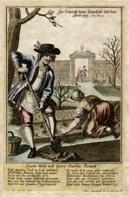 engelbrecht1gardening