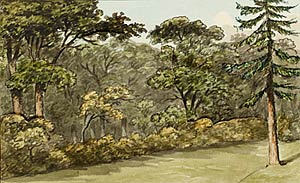 ferneyhall_intro_on_repton