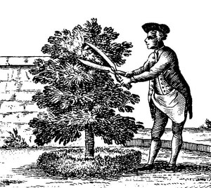 GARDNR pruning