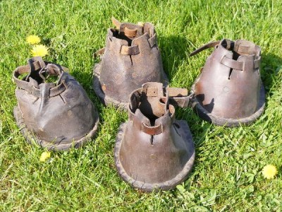 protective overshoes for horses