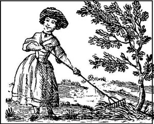 sherakes18th century