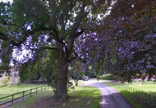 Approach to the church on the left