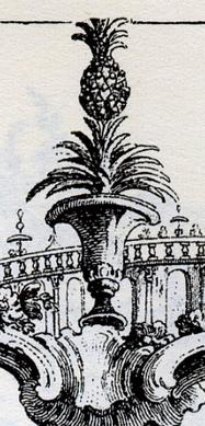 pot and pineapple detail negri