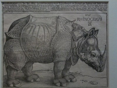 Durer's image of a rhino
