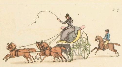 A woman driving a phaeton