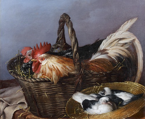 chickens and pigeons 18th c.