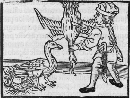 Goose_thehistoricfoodie