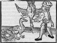 Goose_thehistoricfoodie