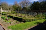 Inside the kitchen&nbsp;garden
