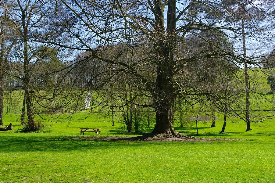 Sight screen on the cricket pitch