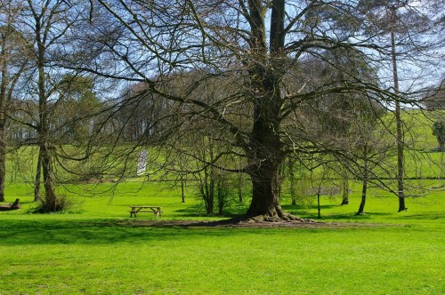 Sight screen on the cricket pitch