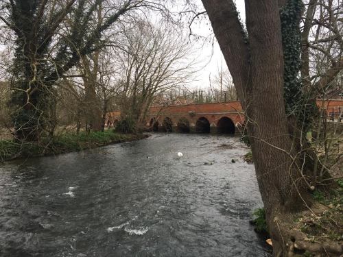 The river mole at leatherhead