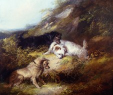george_armfield_a2792_terriers_rabbiting