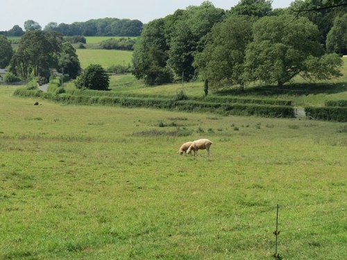 Image 1 Rectory Site (1)