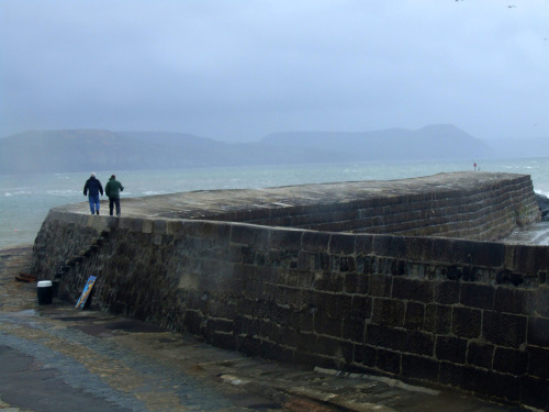 cobb-at-lyme-regis-tony-grant