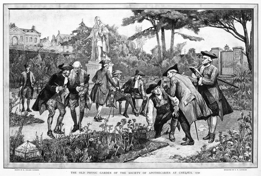 The Physic Garden, Chelsea: men botanizing in the garden, near the statue of Sir Hans Sloane, 1750. Wood engraving by T. W. Lascelles after H. G. Glindoni, 1890.. Credit: Wellcome Collection. Attribution 4.0 International (CC BY 4.0)