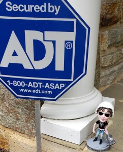 Image of BAJ posing with an American security sign
