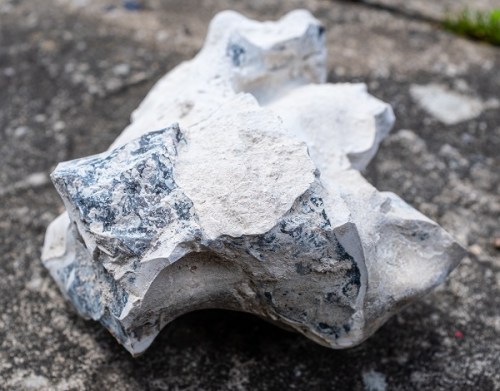 Image of Box Hill flint found by Tony Grant. Image permission of Tony Grant