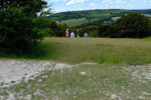 Image of Burford spur