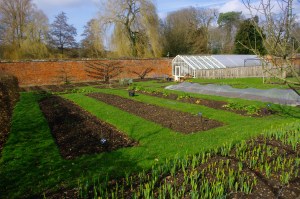 Photo of the kitchen garden by Tony Grant