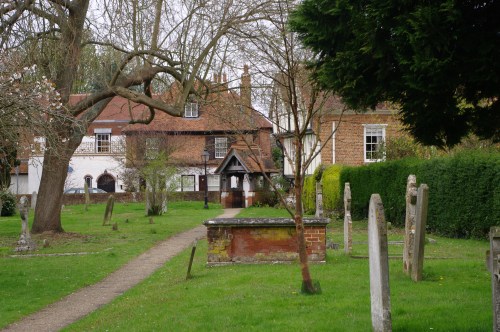 Image of Cobham churchyard