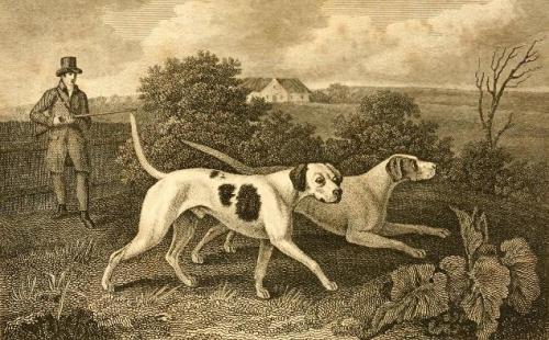 A black and white print of a hunter going out with two pointers, 1820 image.