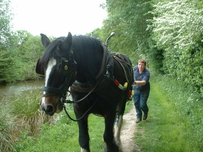 Horse_Drawing_Barge_on_the_Kennet_and_Avon_Canal