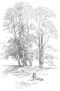 Screen Shot 2024-02-24 at 12.23.47 PM