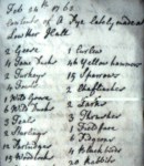 partial pie shot-Day